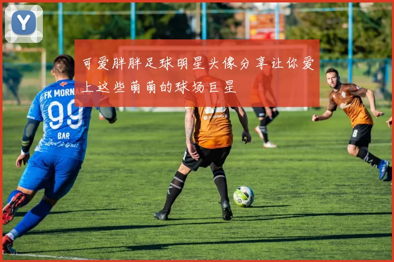 可爱胖胖足球明星头像分享让你爱上这些萌萌的球场巨星