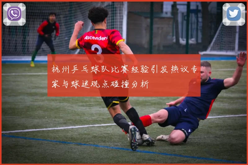 杭州乒乓球队比赛经验引发热议专家与球迷观点碰撞分析