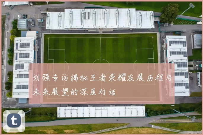 刘强专访揭秘王者荣耀发展历程与未来展望的深度对话