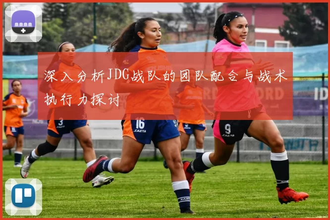深入分析JDG战队的团队配合与战术执行力探讨