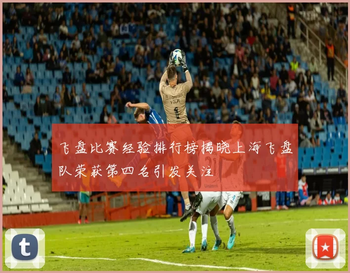 飞盘比赛经验排行榜揭晓上海飞盘队荣获第四名引发关注