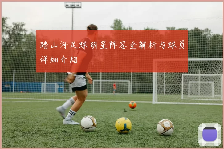 踏山河足球明星阵容全解析与球员详细介绍