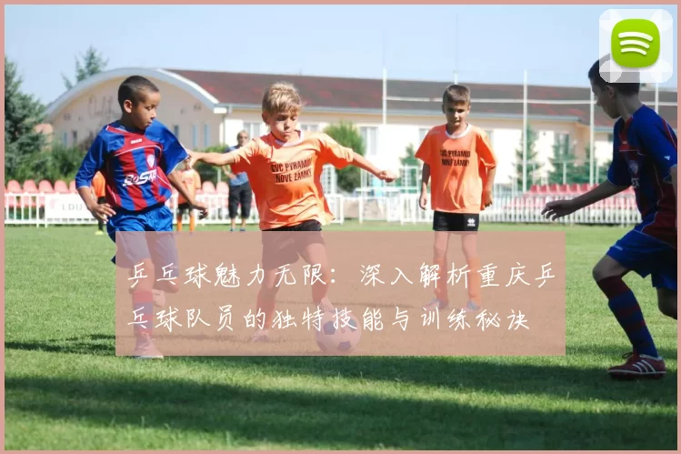 乒乓球魅力无限：深入解析重庆乒乓球队员的独特技能与训练秘诀