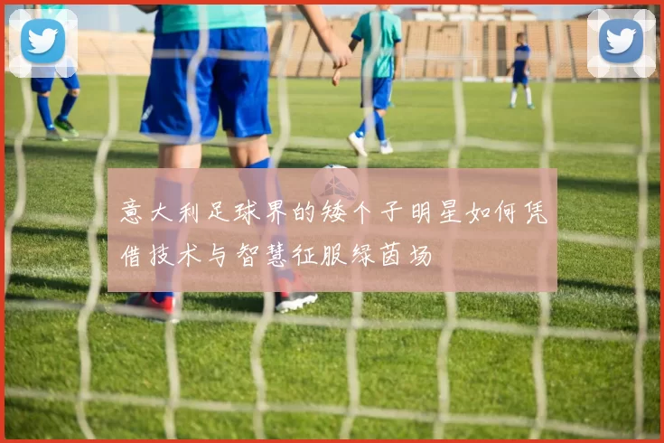 意大利足球界的矮个子明星如何凭借技术与智慧征服绿茵场