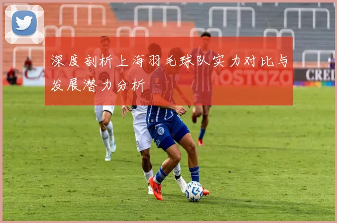 深度剖析上海羽毛球队实力对比与发展潜力分析