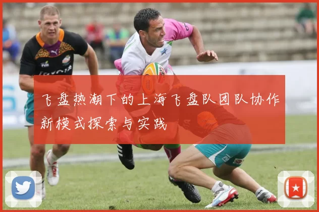飞盘热潮下的上海飞盘队团队协作新模式探索与实践