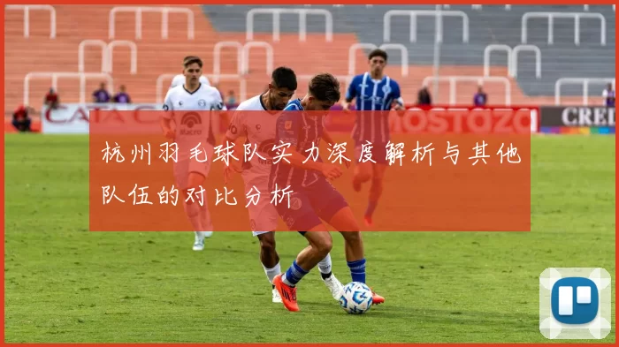 杭州羽毛球队实力深度解析与其他队伍的对比分析